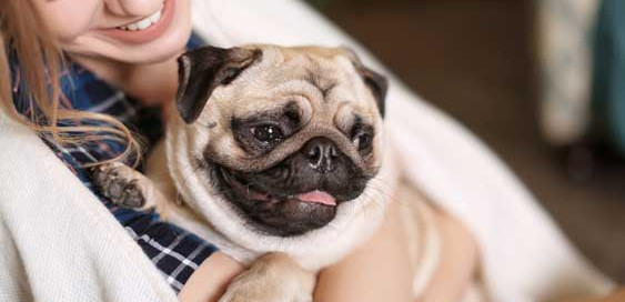 Woman Holding Dog